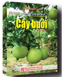 Nhà xuất bản tổng hợp