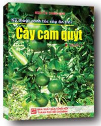 Nhà xuất bản tổng hợp